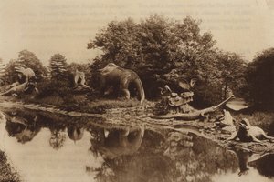 Animaux antédiluviens - English Photographer