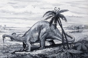 Brontosaure