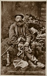 Brusher Mills, un attrapeur de serpents de la New Forest - English Photographer