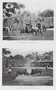 Corrida à Kelantan