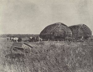 Station de Canning Downs