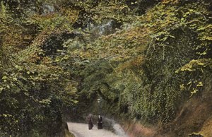Chine Creuse, Shanklin