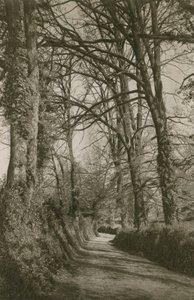 Chemin de Cockington, Devonshire, près de Torquay