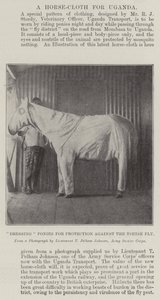 Habillage des poneys pour protection contre la mouche tsé-tsé - English Photographer