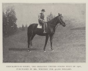 Endurance-by-Right, la plus grande pouliche des États-Unis de 1901, achetée par M. Whitney pour 40 000 dollars - English Photographer