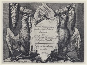 F Barlow, Diversae avium species, G Faithorne 1658 - English Photographer