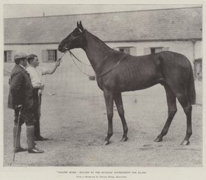 Galtee More, acheté par le gouvernement russe pour 21 000 £ - English Photographer