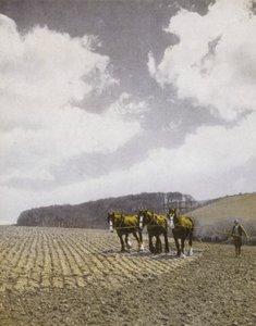 Labour au printemps