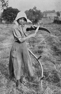 Récolte - Membre de la Réserve volontaire des femmes de Leicester aidant un fermier, photographies du War Office, 1916 - English Photographer