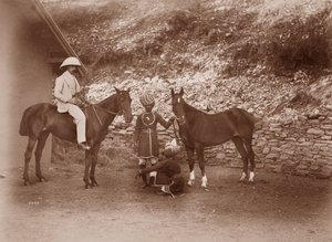 Chevaux à Simla, Queen Mab et Gladys