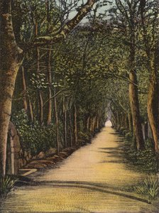 Jersey : Vinchelez Lane
