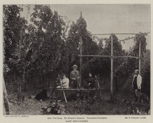 Dames cueilleuses de houblon