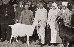Mahatma Gandhi arrive à Londres, Angleterre en 1931 avec son disciple, Madeleine Slade, et ses deux chèvres, de L