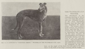 Farndon Ferry de M. G F Fawcett, vainqueur de la Waterloo Cup, 1902 - English Photographer
