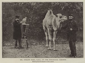 M. Onslow Ford, ARA, au jardin zoologique - English Photographer