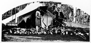 Mes trophées de chasse indiens, vers 1870 - English Photographer