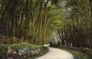Sur la Route de Blackgang - English Photographer
