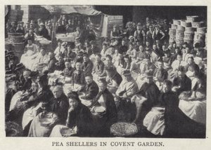 Écosseurs de pois à Covent Garden, Londres