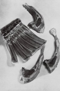 Préparer des côtelettes d