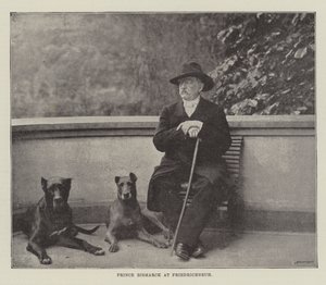 Prince Bismarck à Friedrichsruh - English Photographer