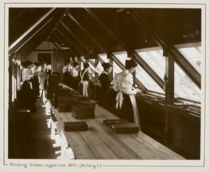 Impression de négatifs Kodak par la lumière du soleil, Bâtiment 2, Harrow - English Photographer