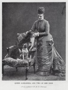 Reine Alexandra et deux de ses chiens