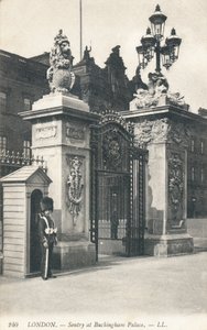 Sentinelle au palais de Buckingham