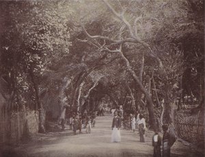 Route de Skinners, Colombo