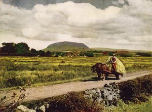 Slemish, County Antrim (photo couleur) - English Photographer