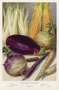 Quelques légumes plus rares (photo)
