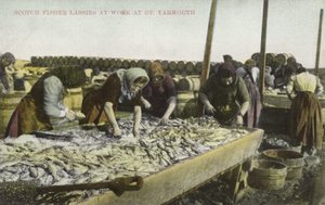 Tri du poisson, Great Yarmouth (photo en couleur)