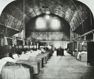 Hôpital St Thomas: salle temporaire dans le Surrey Gardens Music Hall, 1868