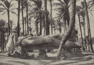 Statue de Ramsès II, allongée dans la ville que Jérémie a dit devoir être sans habitant