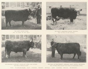 Le Birmingham Fat Stock Show, lauréats royaux et autres
