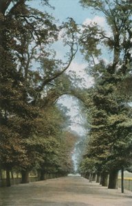 La Grande Allée - English Photographer