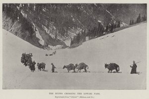 Les Buffs traversant le col de Lowari - English Photographer
