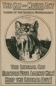 La Loi du Chat et de la Souris - English Photographer