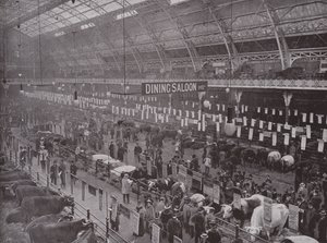 Salon du bétail, Royal Agricultural Hall - English Photographer