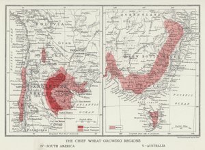 Les principales régions productrices de blé, Amérique du Sud, Australie
