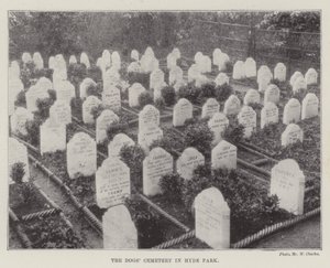 Le cimetière des chiens à Hyde Park
