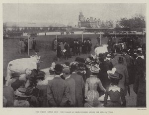Le salon du bétail de Dublin, le défilé des lauréats devant le duc d