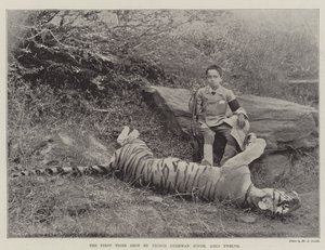 Le premier tigre abattu par le prince Bughwan Singh, âgé de douze ans - English Photographer