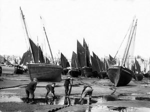 La flotte de pêche dans le port de St Ives, vers 1880-99