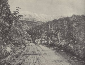 Route de Huon - English Photographer