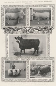 Le Christmas Show de la Smithfield Society, quelques lauréats notables