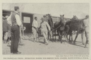 La crise du Transvaal, débarquement des chevaux pour le service avec la force du colonel Baden-Powell