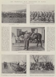 La guerre du Transvaal, défenseurs du Natal