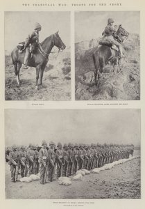 La guerre du Transvaal, troupes pour le front