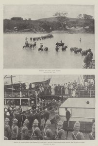 La guerre au Transvaal