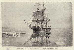 Le baleinier Belvedere dans la mer de Béring - English Photographer